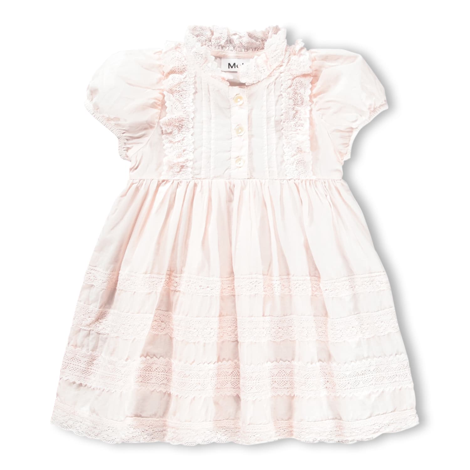 Carnation Cloud Pink
