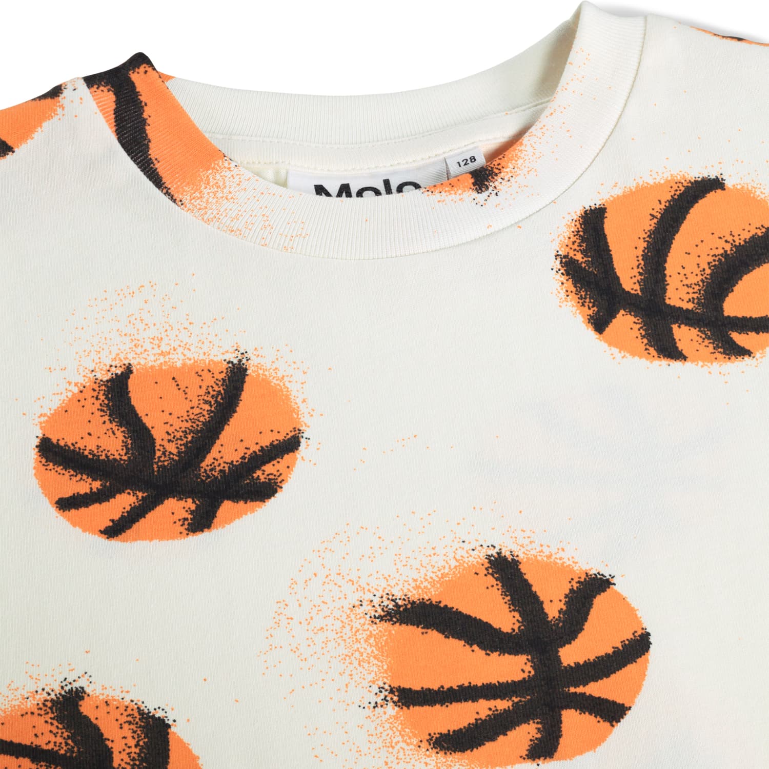 Riley Basketballs - imagine 2